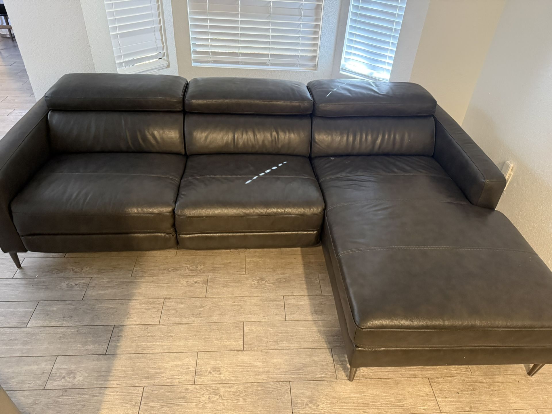 Leather Couch