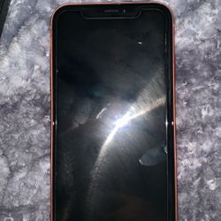 iPhone XR