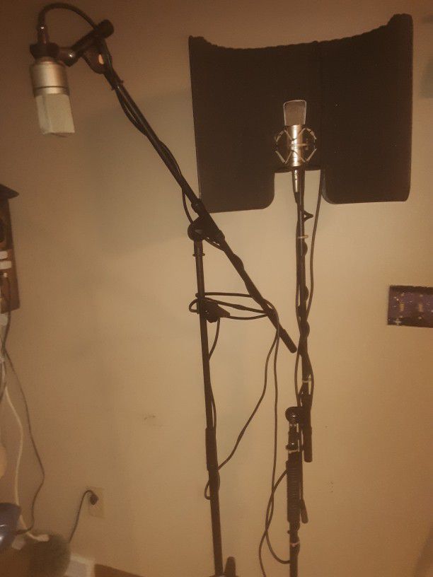 2 Mics With Stands (see description)
