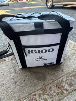 Igloo cooler