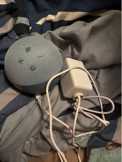 Brand new Alexa no box