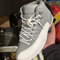 Jordan 12s ( Stealths)