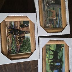 Set of 3 Dog Art Prints in Wooden Frames