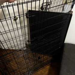 Dog Cage 