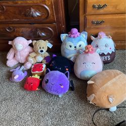 Plushies & Squishmallows. 