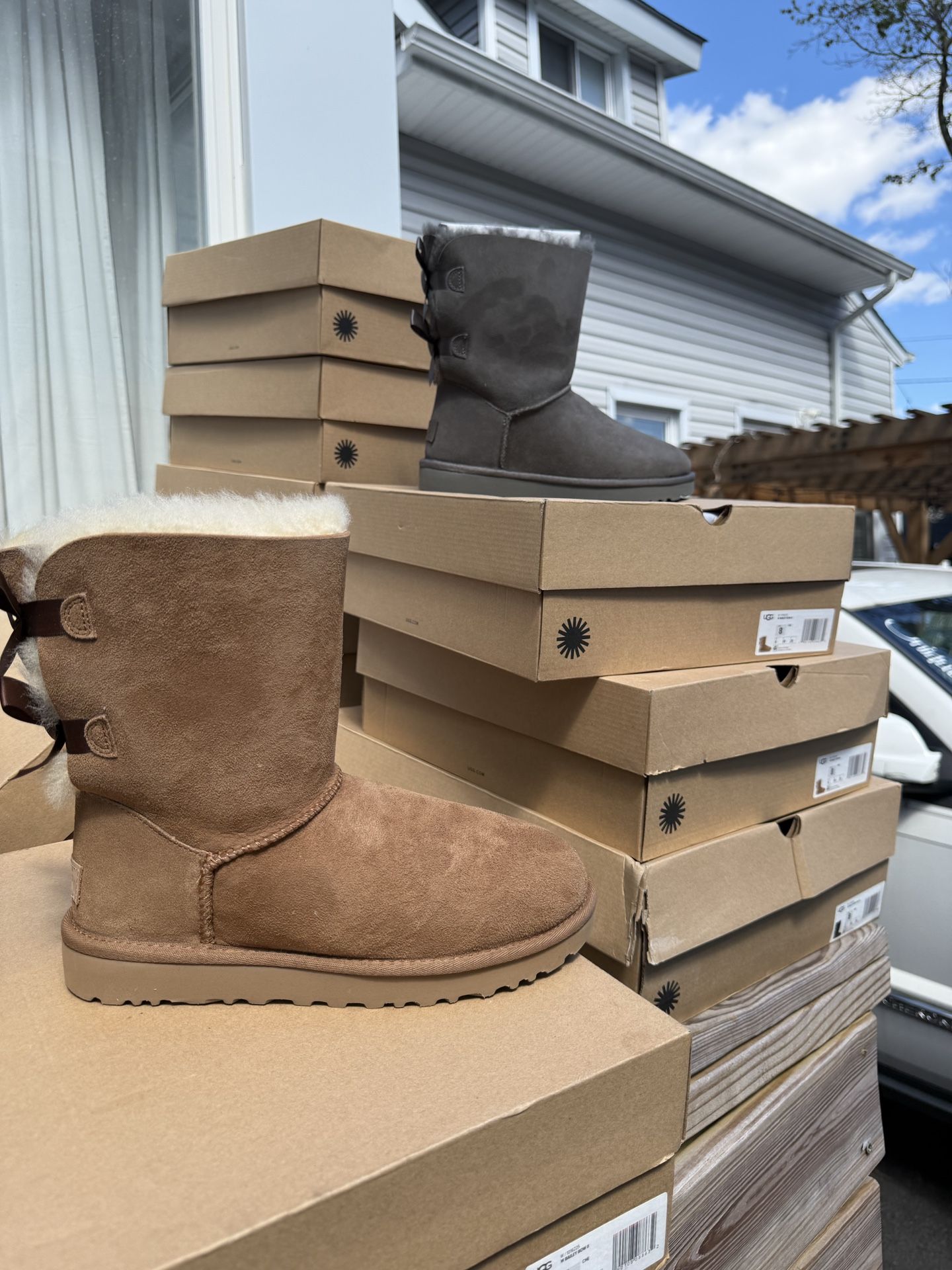 Women Bowtie Uggs