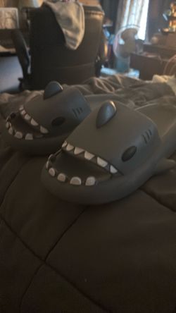 Grey Shark Slides