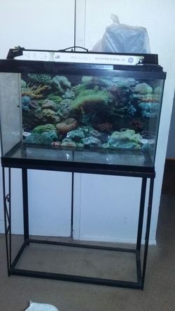 28 gallon fish tank