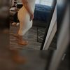 Ana Mata