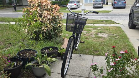 Fuji Saratoga 4 Cruiser Bike for Sale in Riverview, FL - OfferUp