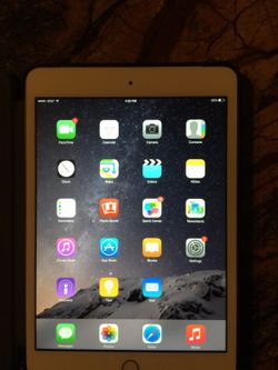 iPad mini 2