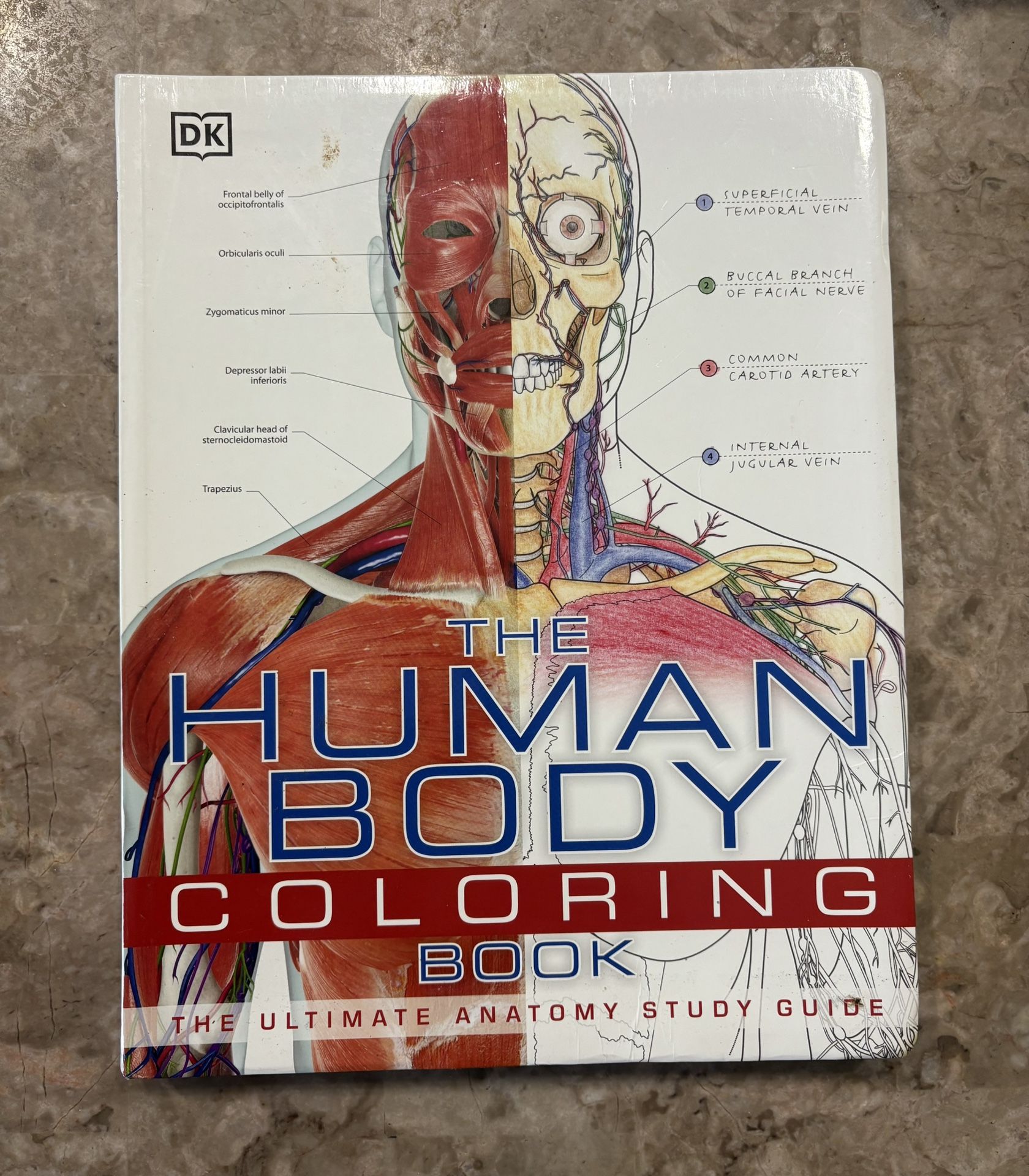 The Human Body Coloring Book
