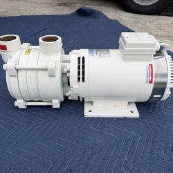 Gianneschi fire pump