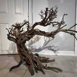 driftwood aquarium 