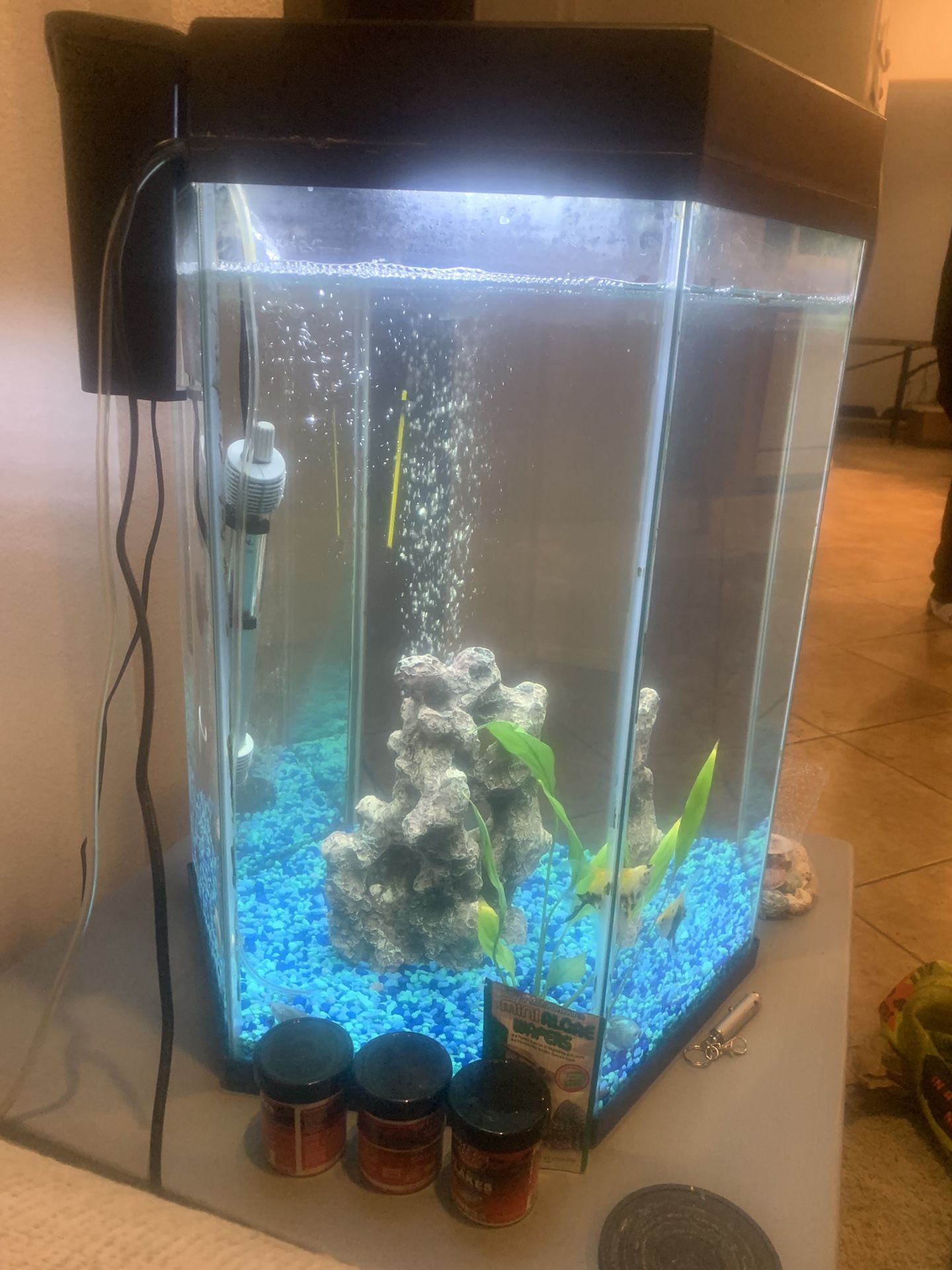 20 Gallon Reptile/Fish Tank
