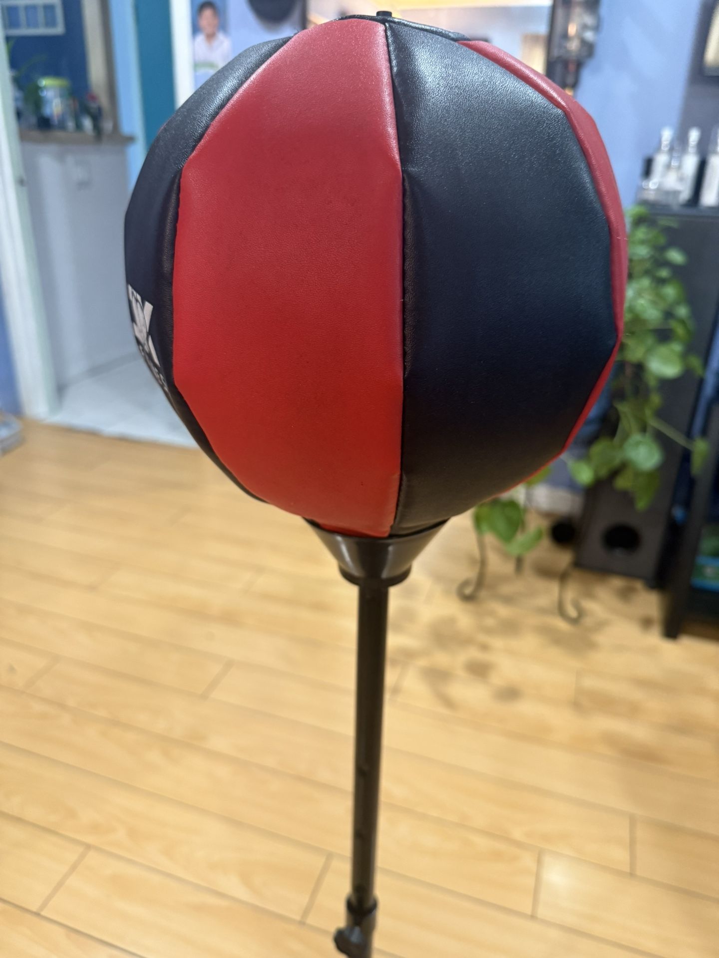 Boxing For Kids Playing 15$