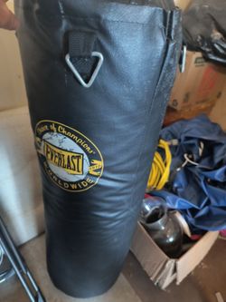 Everlast punching bag