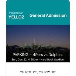 Yellow Parking Dolphins Vs 49ers