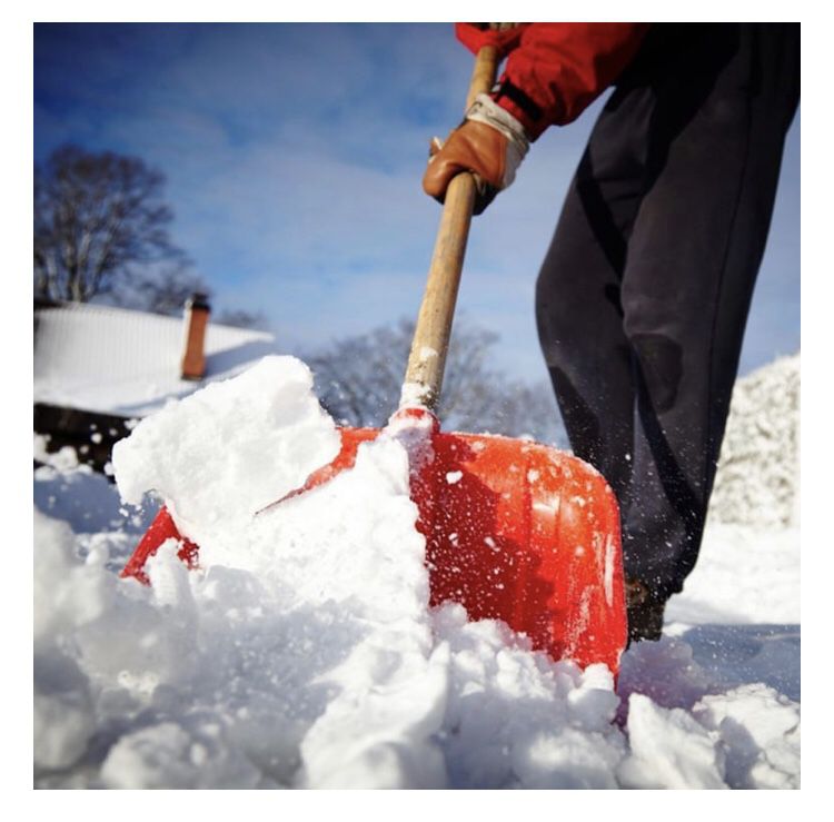 Snow Removal (Springfield and Annandale)