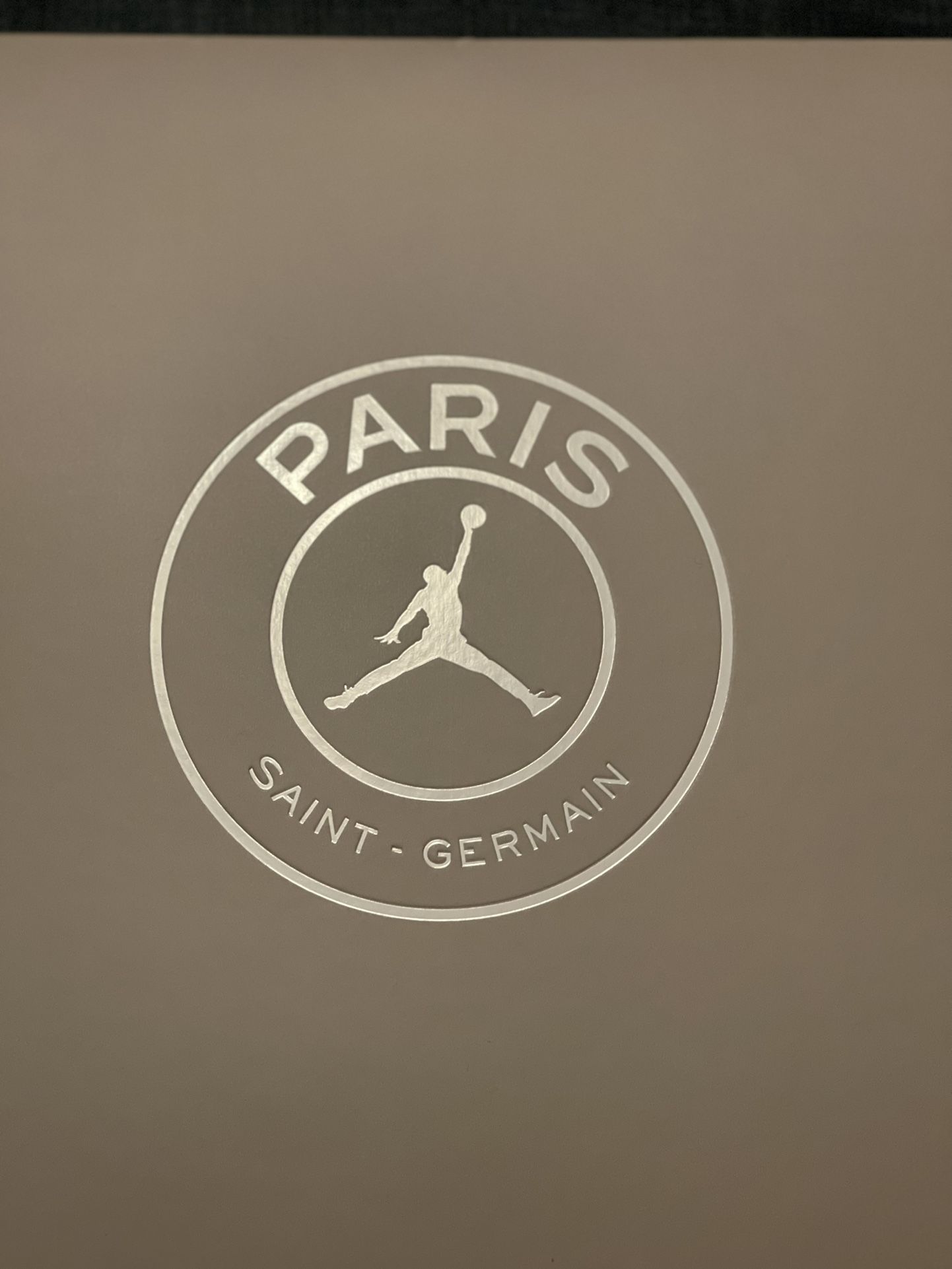 PSG x Jordan 5 Low