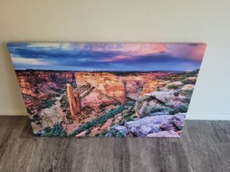 Paintings Only 20 Each