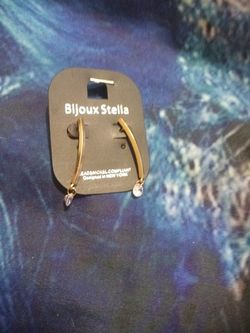 Brand New Earrings Never Worn