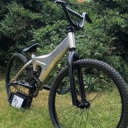 1999 Specialized Hemi Fatboy 24" Bmx Race Mid School Cruiser