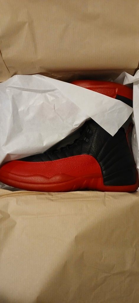 Air Jordan 12 Brand New Size 13