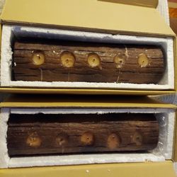 Yule log 4 wick partylite candle 3" x 12