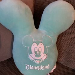Disney World play In The Park Pillow