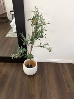 Decorative Artificial Olive Tree with White Planter