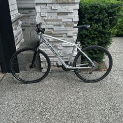 Trek Dual Sport 3