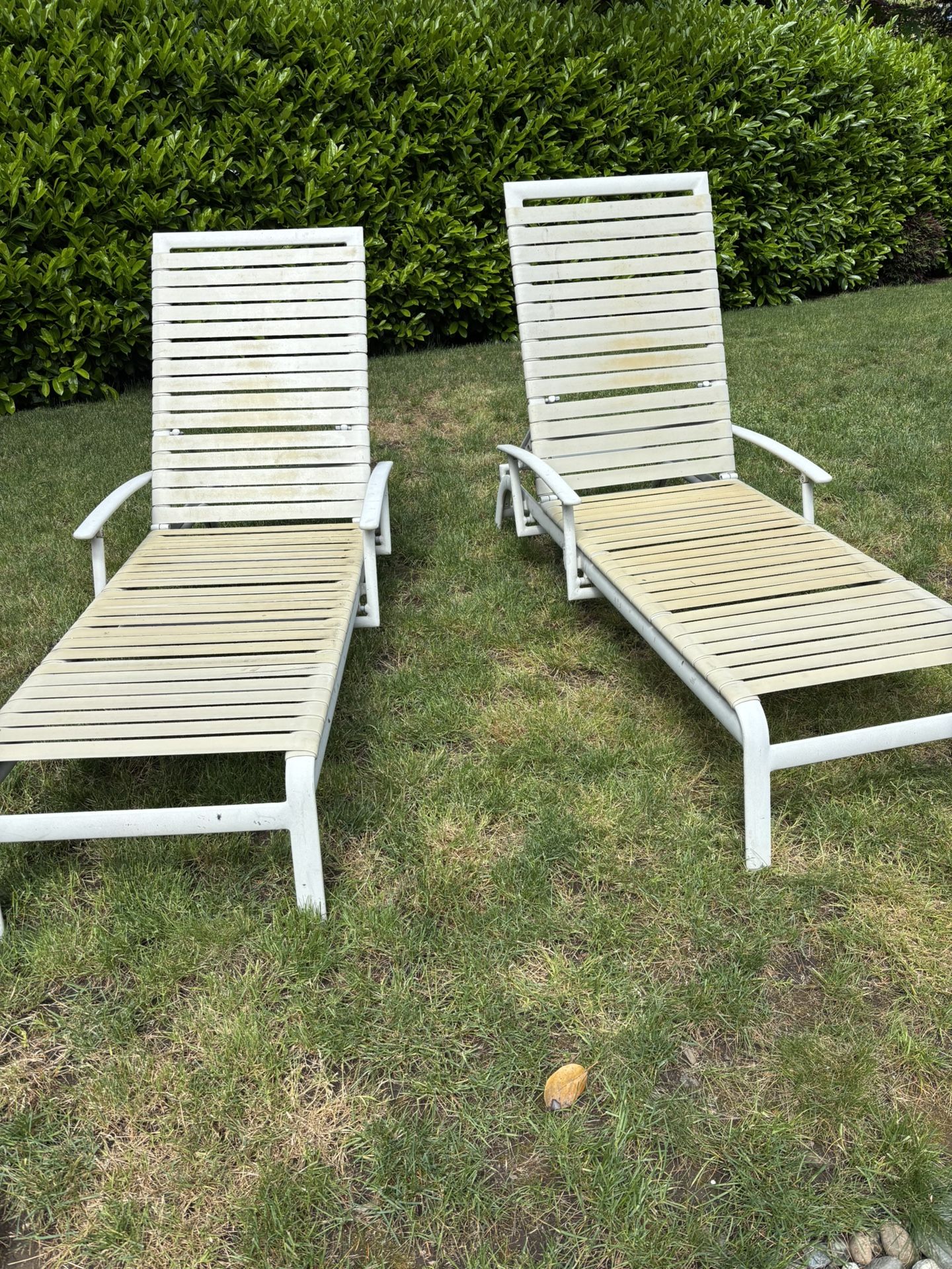 2 Outdoor Chaise Lounges