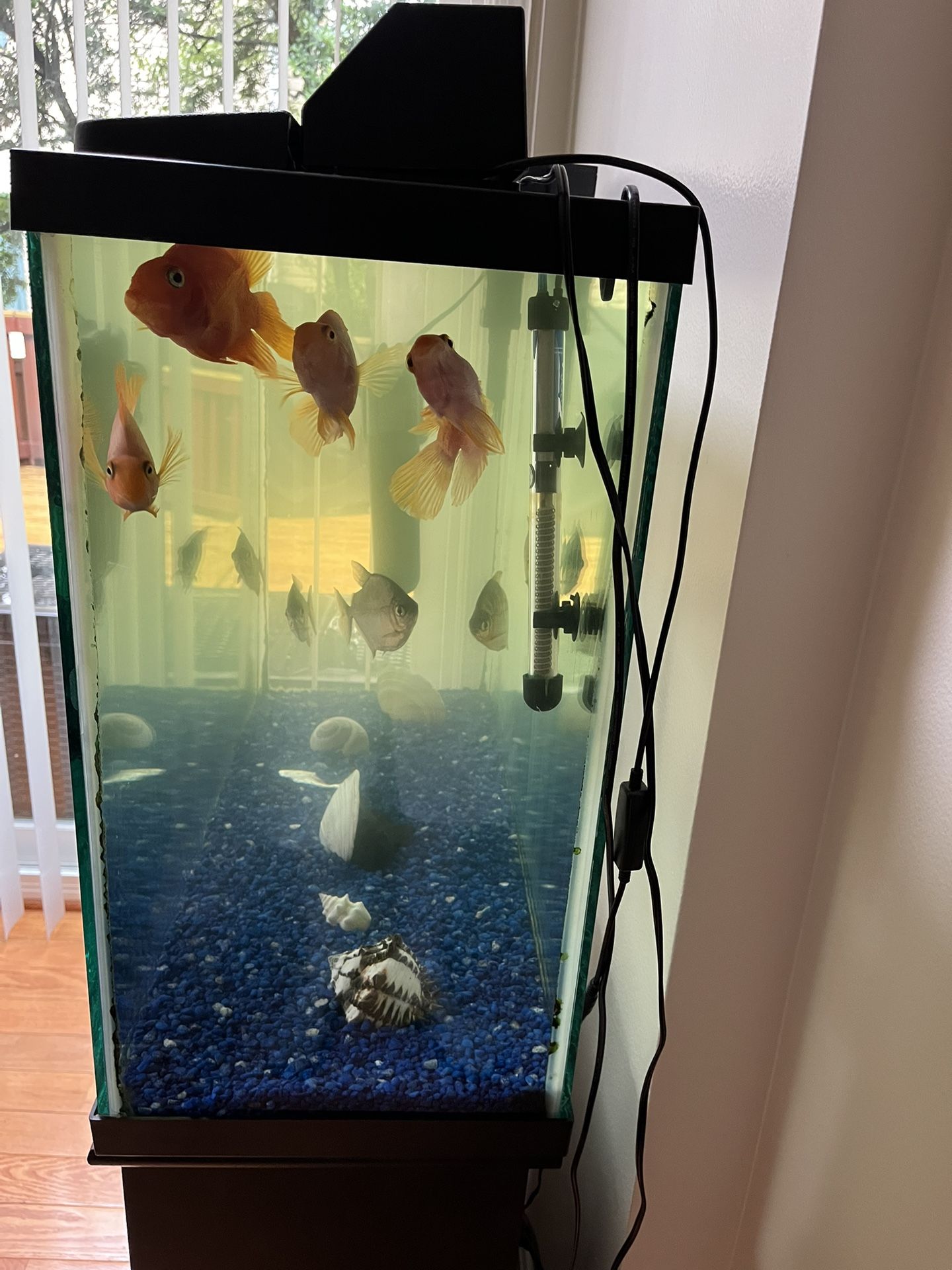 Fish Tank And Stand
