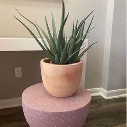Faux Aloe Plant In Terracotta Pot