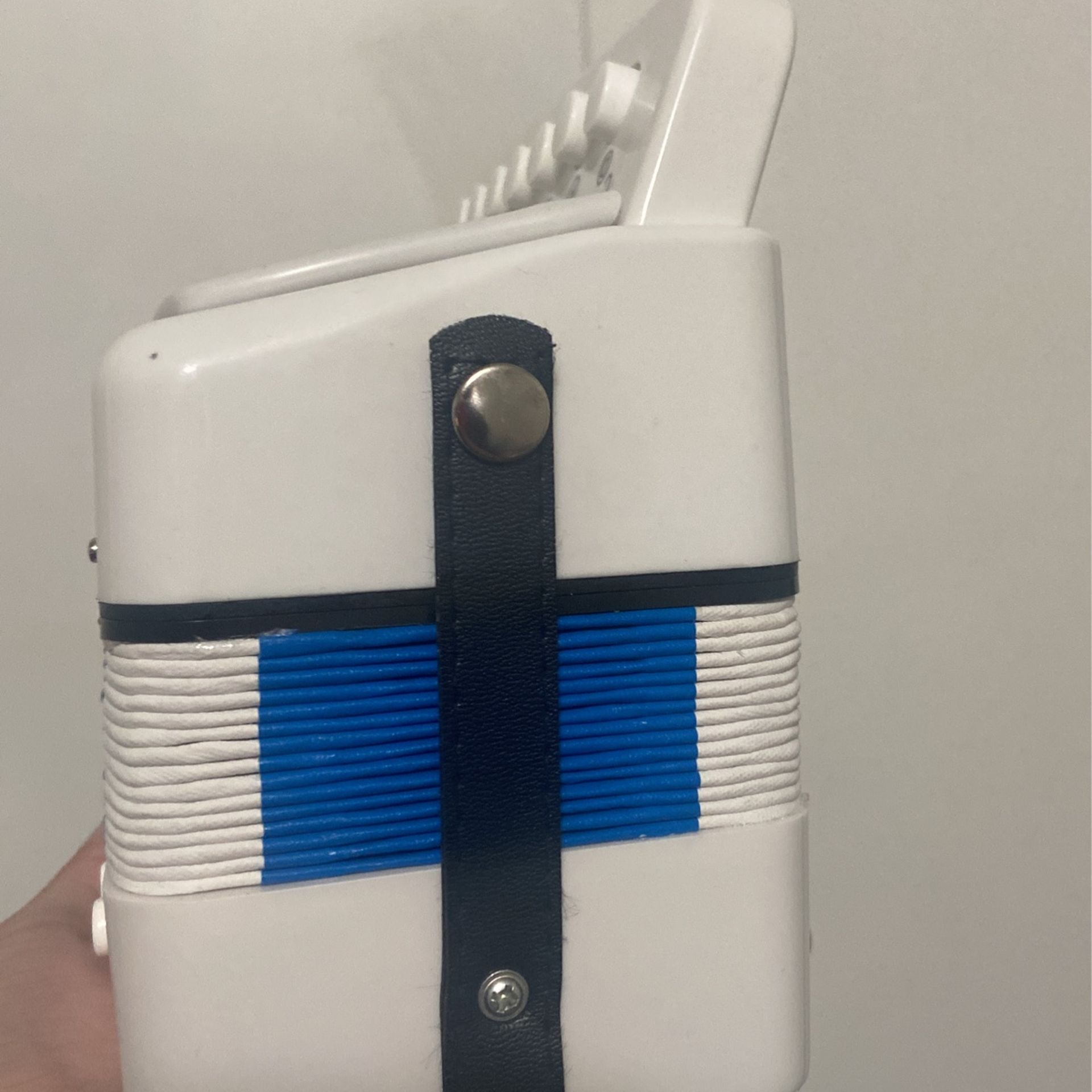 Mini Music Accordion for Sale in Phoenix, AZ OfferUp