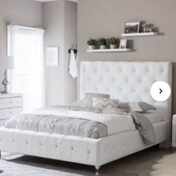 Queen Bed + Mattress