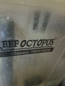 Reef Octopus Protein Skimmer