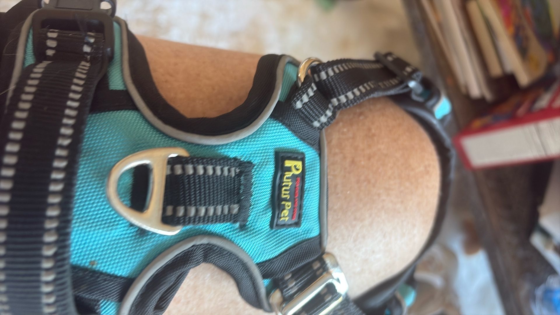 Small Blue Dog Harness