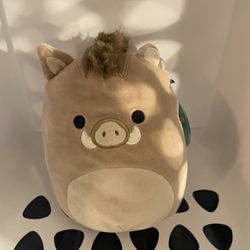 Warren The Board Squishmallow 