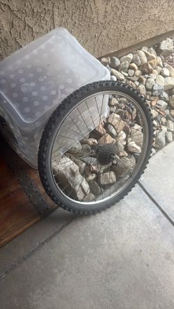 Mountain Bike That Tire Rim