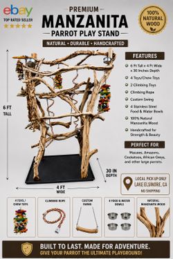 🦜 Manzanita Parrot Perches – Handcrafted Natural Bird Stand