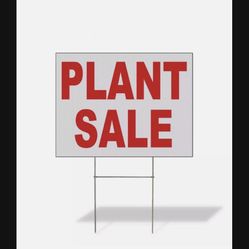 BIG PLANT SALE IN LARGO GOOD PRICES