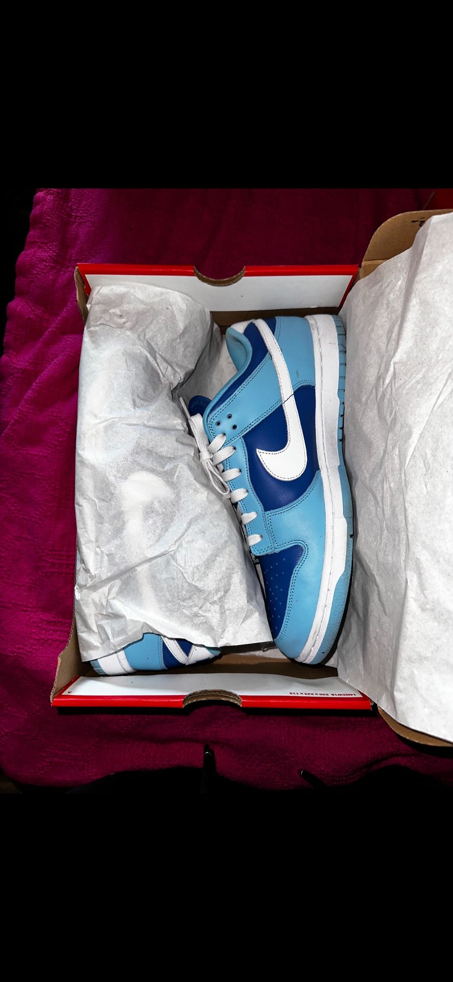 Nike Dunk Low