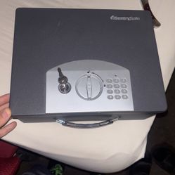 Sentry safe