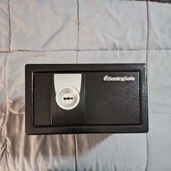 SentrySafe Small Safe