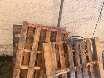 Wood Palettes
