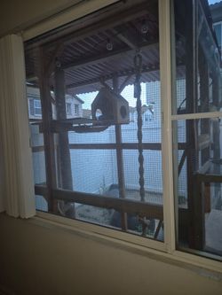 Catio