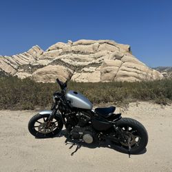 2020 Harley Davidson Iron 883