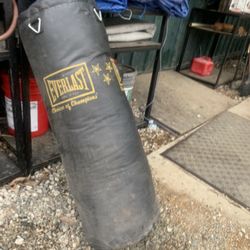 Punching Bag 